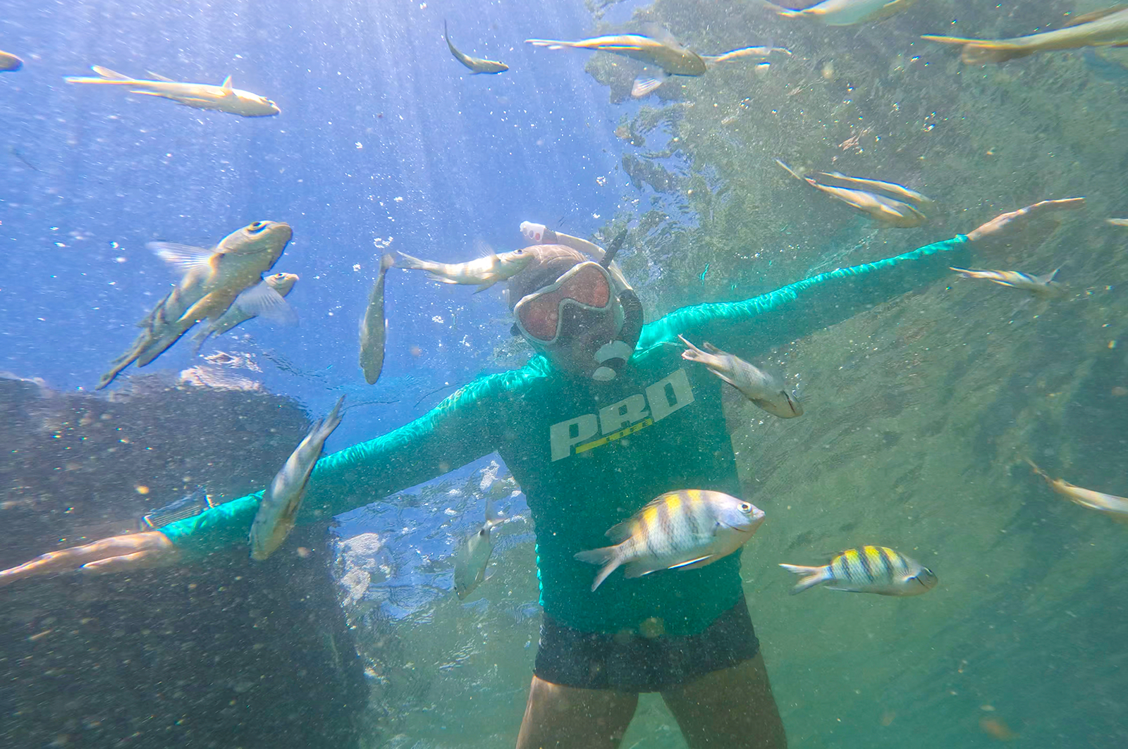 O Dia da Natureza e o Papel das Atividades Aquáticas na Preservação Ambiental!