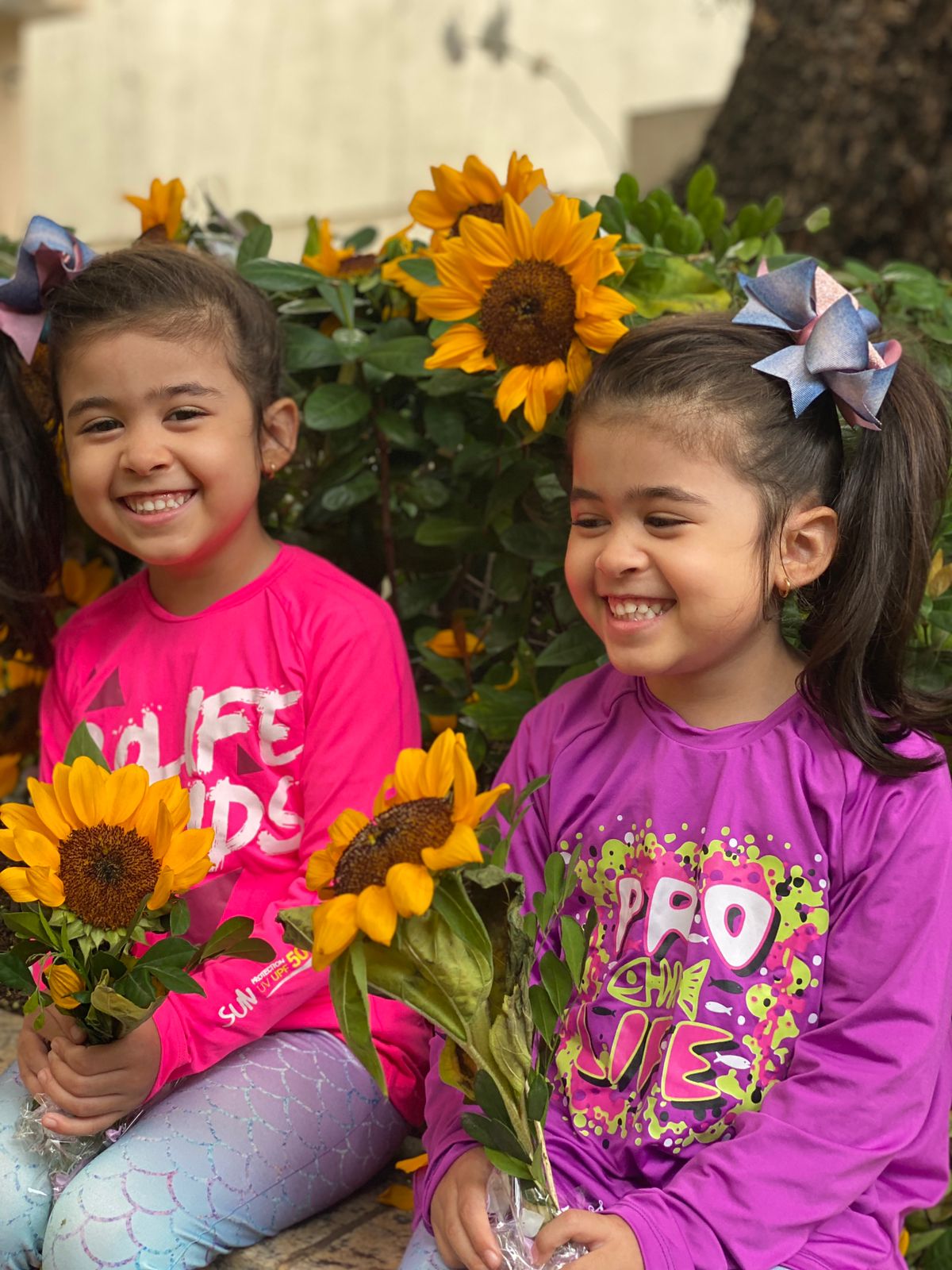 Descubra por que somos polinizadores!